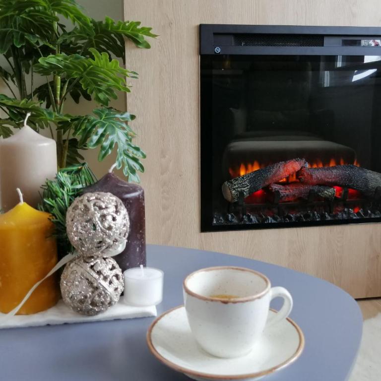 SNJEŽNA ČAROLIJA lux - Apartman sa 1 Spavaćom Sobom - 8