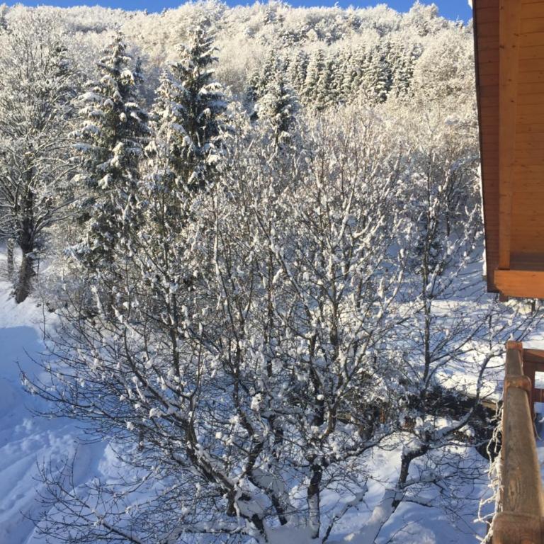 Casa Dalsass - Appartamenti nel verde - One-Bedroom Apartment - 9