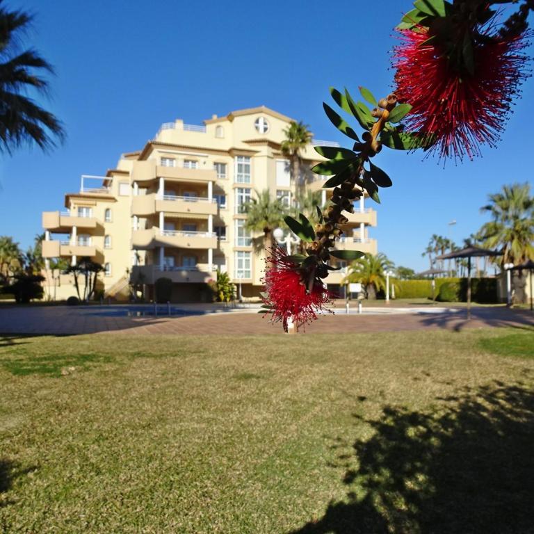 GOLF Y MAR - Oliva Nova - Apartamento de 1 dormitorio - 17
