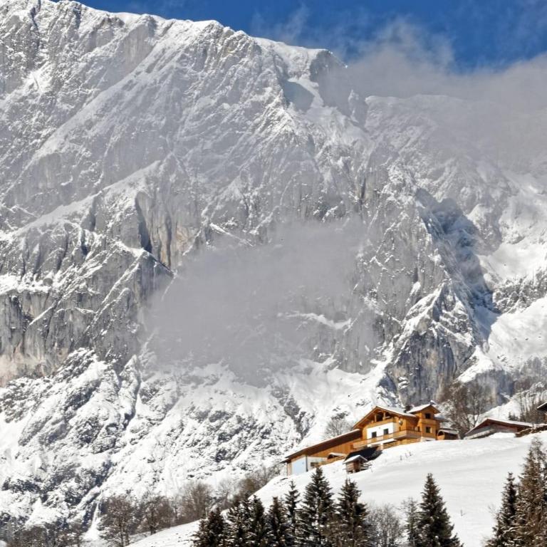 Gut Stein Panoramalodge - Apartment - 46