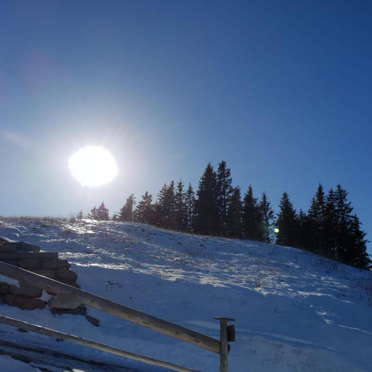 Klippitzhimmel - Chalet mit 3 Schlafzimmern - 28