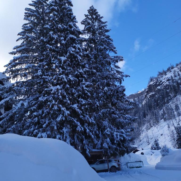 Residence Marmolada - Appartamento con 2 Camere da Letto - 14