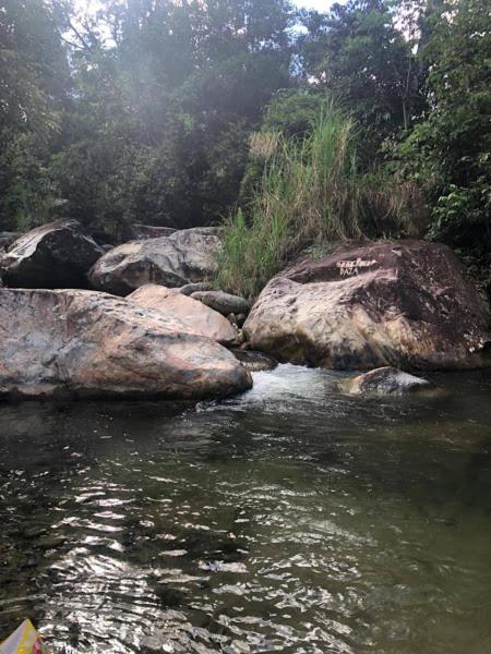 Casa Amarilla, San Carlos, Antioquia - Casa - 33