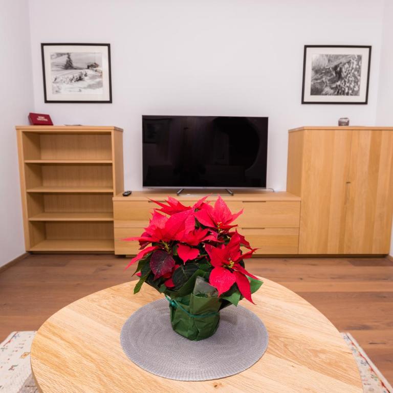 Apartments Bergleben Goldegg - Deluxe Apartment - 8