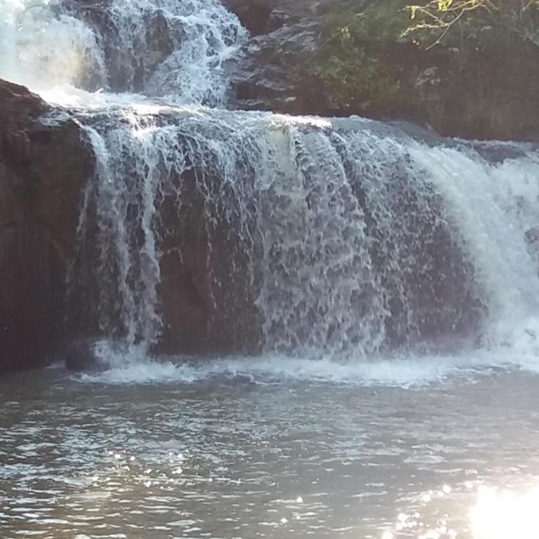 Cabañas del Paraiso - Quadruple Room with Garden View - 5