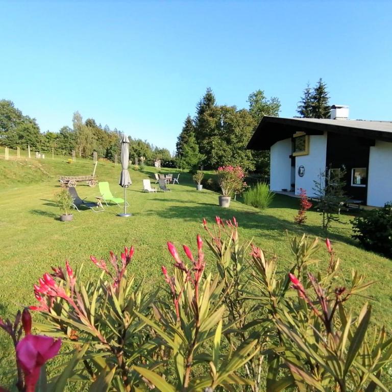 Schans Appartements - Studio-Apartment - 3