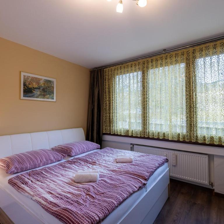 Apartment Mariazell Bürgeralpe - Appartement - 12