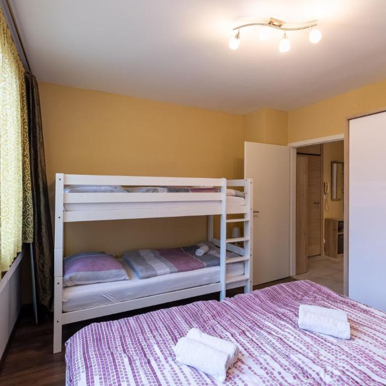Apartment Mariazell Bürgeralpe - Appartement - 13