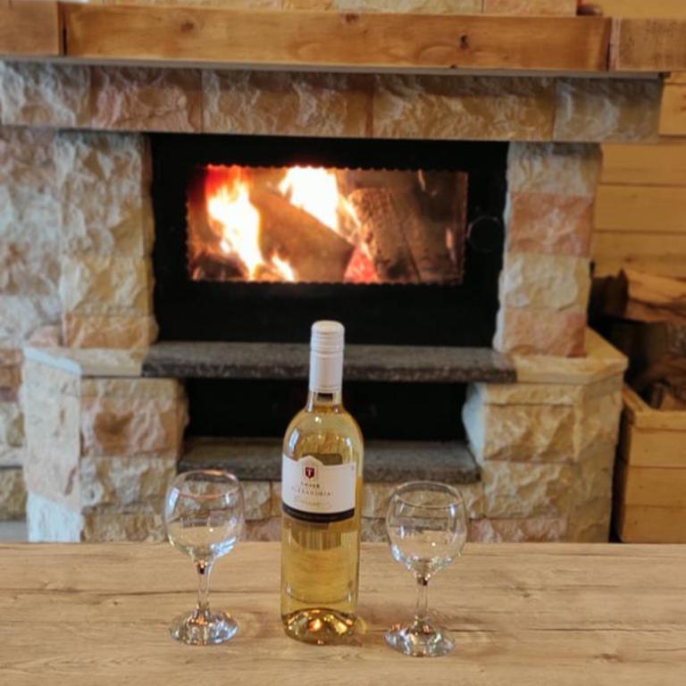 Vikendica Vila Despotovic - Villa - 11