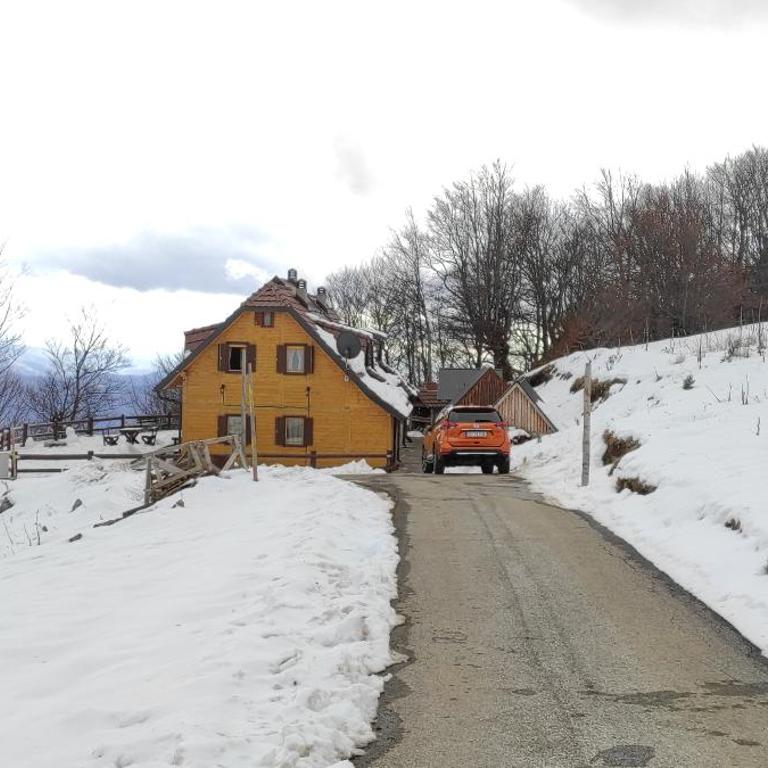 Vikendica Vila Despotovic - Villa - 84