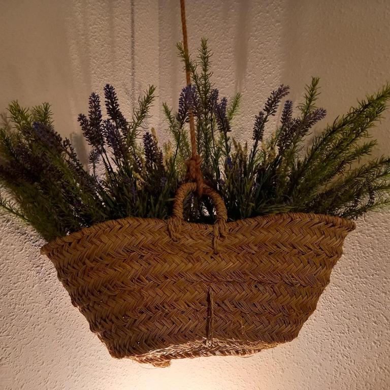 Casa Salá, alojamiento con encanto en Vera Natura - Apartamento - 18