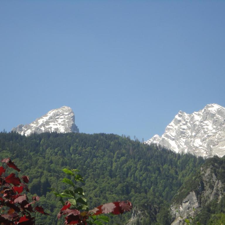 Ferienwohnung Hoamatl in Königssee - Appartement avec Terrasse - 4