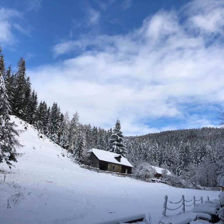 Unplugged Almhütte Waldbauer - Chalet mit 2 Schlafzimmern - 40