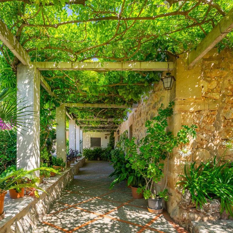 Can Miquel Hort de'n Bota - Villa con piscina privada - 21