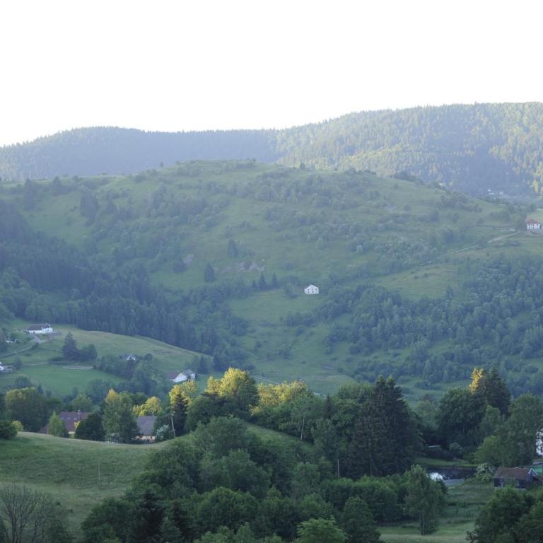 L'instant chalet Lodge 17 - Chalet Supérieur - 42