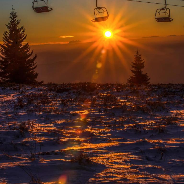 Milmari Resort M16 Markovic - One-Bedroom Apartment - 28
