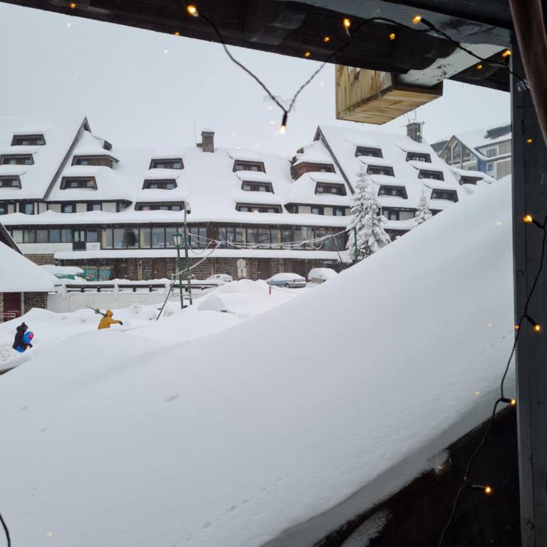 Apartman Brvenik 103, Konaci, Kopaonik - Apartman sa 1 Spavaćom Sobom - 10