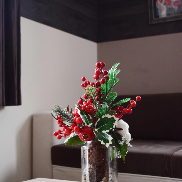 Milmari Friends and Family - One-Bedroom Apartment - 7