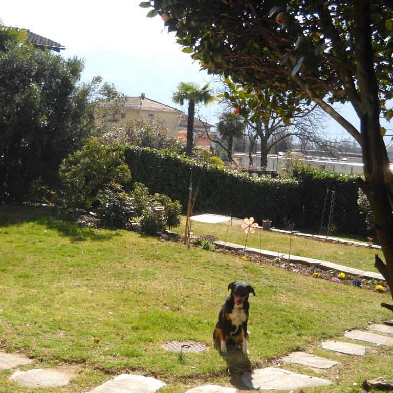 Casa Alice - Appartamento con 2 Camere da Letto e Accesso Giardino - 9