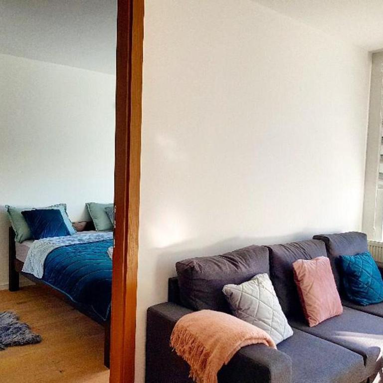 Olimpijska kuća Apartman Happy Dreams - One-Bedroom Apartment - 8