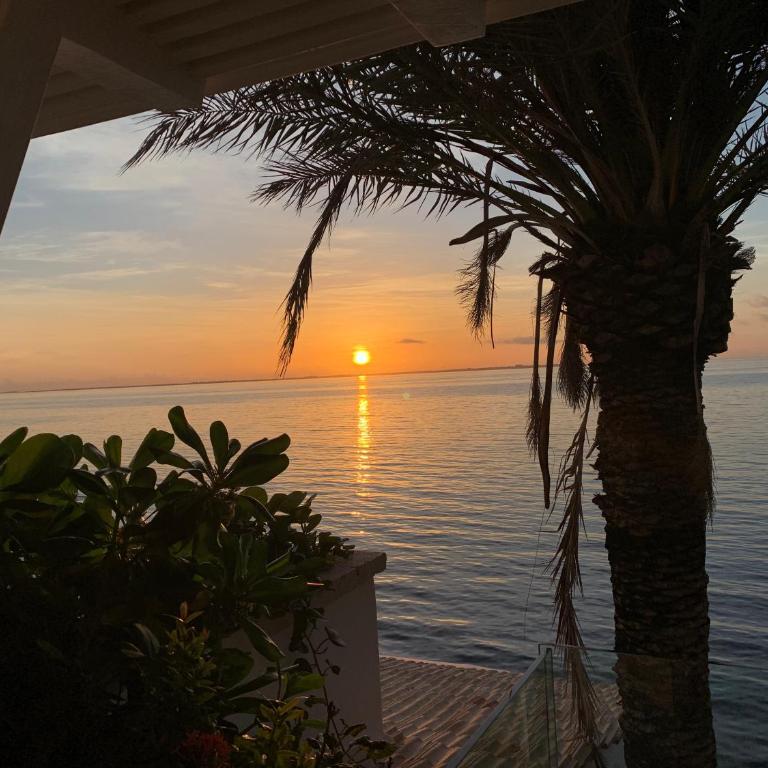 Villa Sha - Cancun Luxury Beachfront - Villa with Sea View - 49