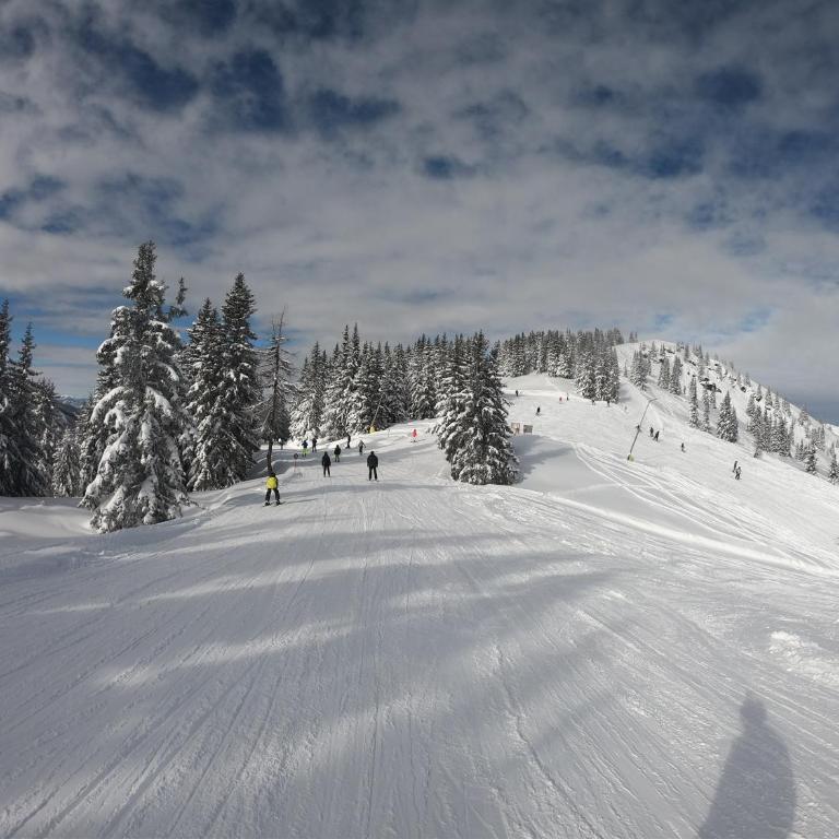 Bergchalet Dein Paradies - Two-Bedroom Chalet - 27