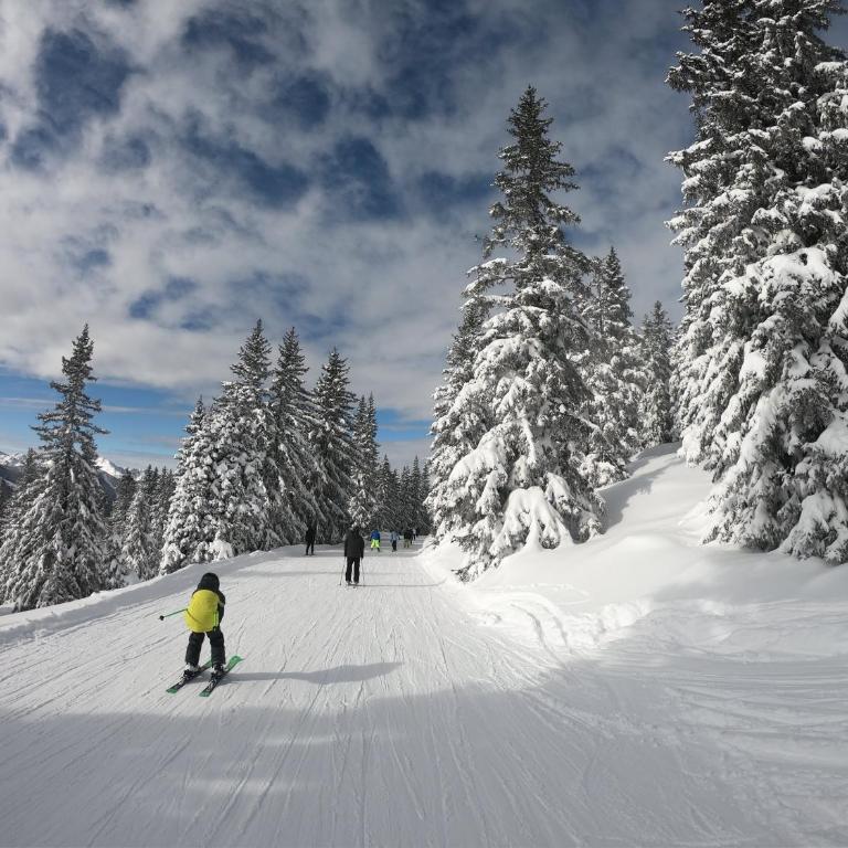 Bergchalet Dein Paradies - Two-Bedroom Chalet - 4