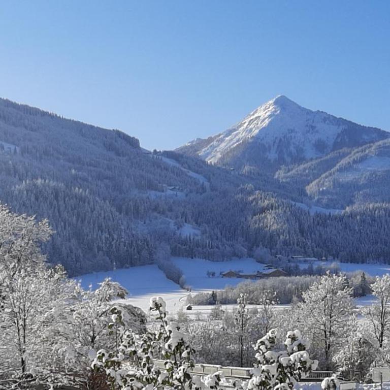 Filzerlehen - Apartment - 1