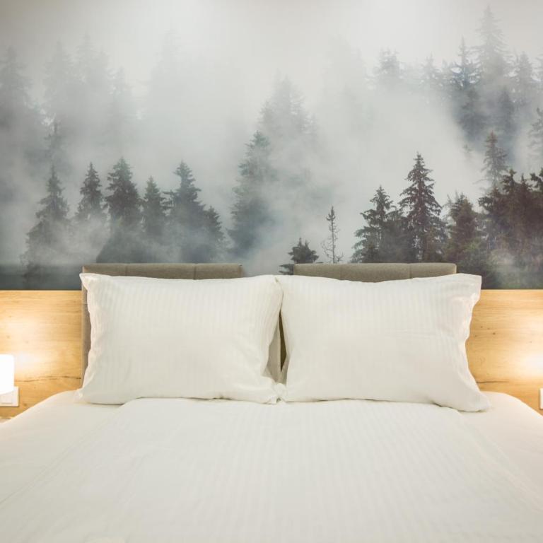 SREBRNA PLANINA Spa & Resort - Deluxe Double Room with Free Spa Access - 7