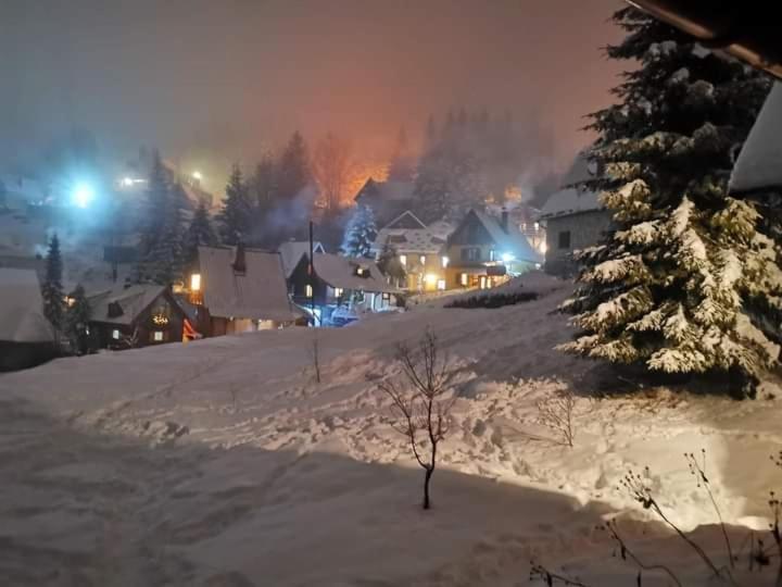 Apartmani Miletic Kopaonik - Studio s Pogledom na Vrt - 2