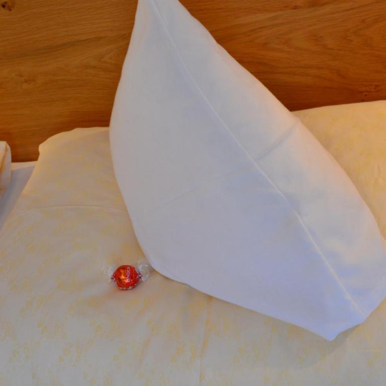 Filzerlehen - Dreibettzimmer - 2