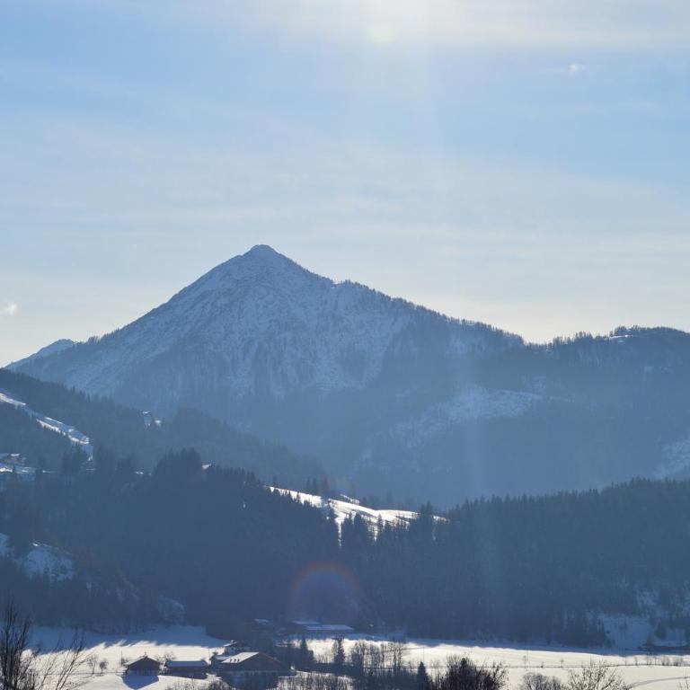 Filzerlehen - Apartment mit Blick auf die Berge - 1