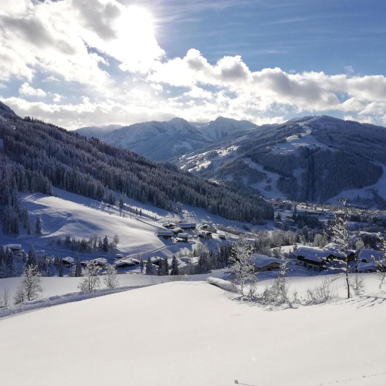 Klammgut - Apartment mit Blick auf die Berge - 1