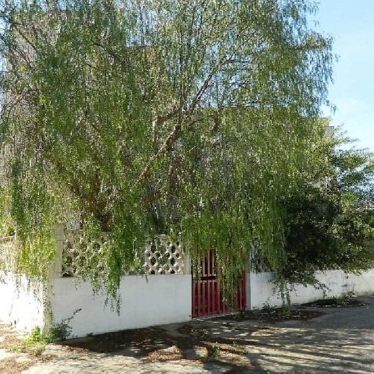 Baia Verde villa1 - Casa Vacanze - 28