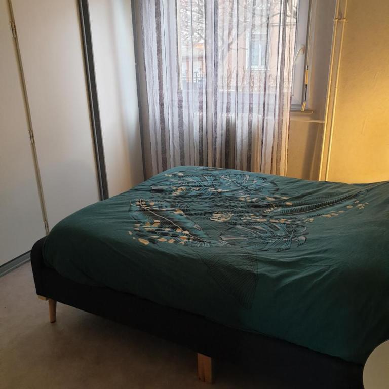 Mulhouse,Grand appart cosy&lumineux, 78m2 , pour 5 personnes - Apartamento de 2 dormitorios - 25