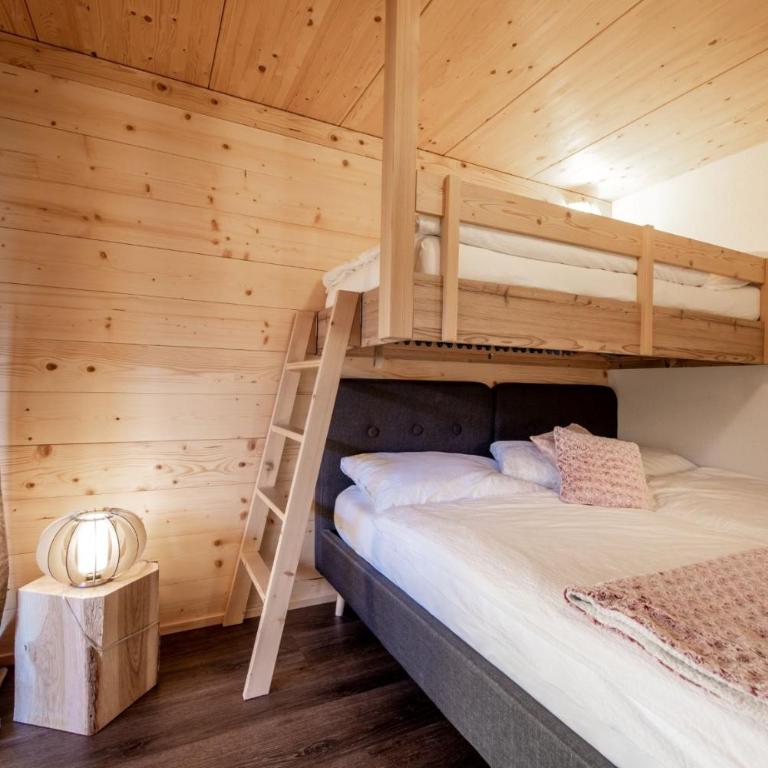 Chalet CARVE - Apartments EIGER, MOENCH and JUNGFRAU - Apartment - 6