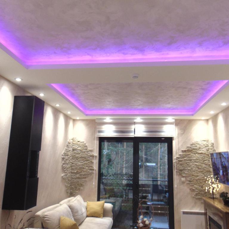 Apartman S33 Vila Pekovic Green - Apartman sa 2 Spavaće Sobe - 62