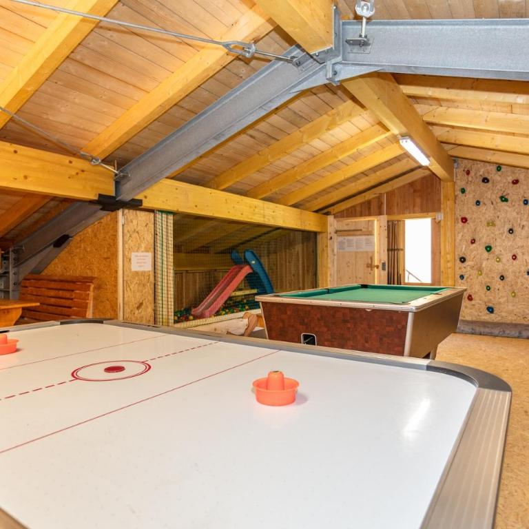 Bergbauernhof Familienparadies Oberhasenberghof - Appartement avec Balcon - 10