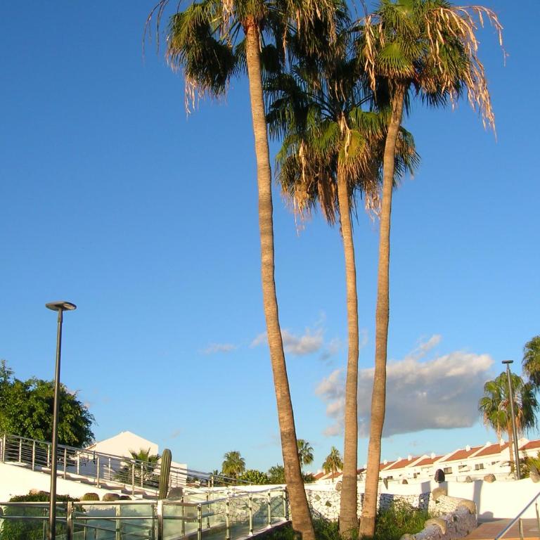 Parque don José 341 - Apartamento de 2 dormitorios - 8