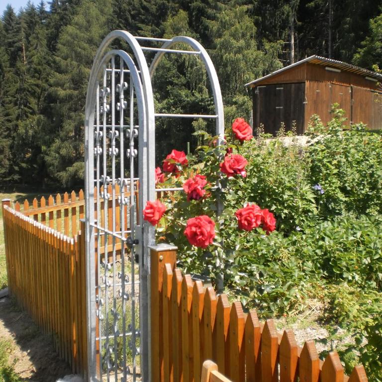 Stroneggerhof - Appartamento con Terrazza - 2