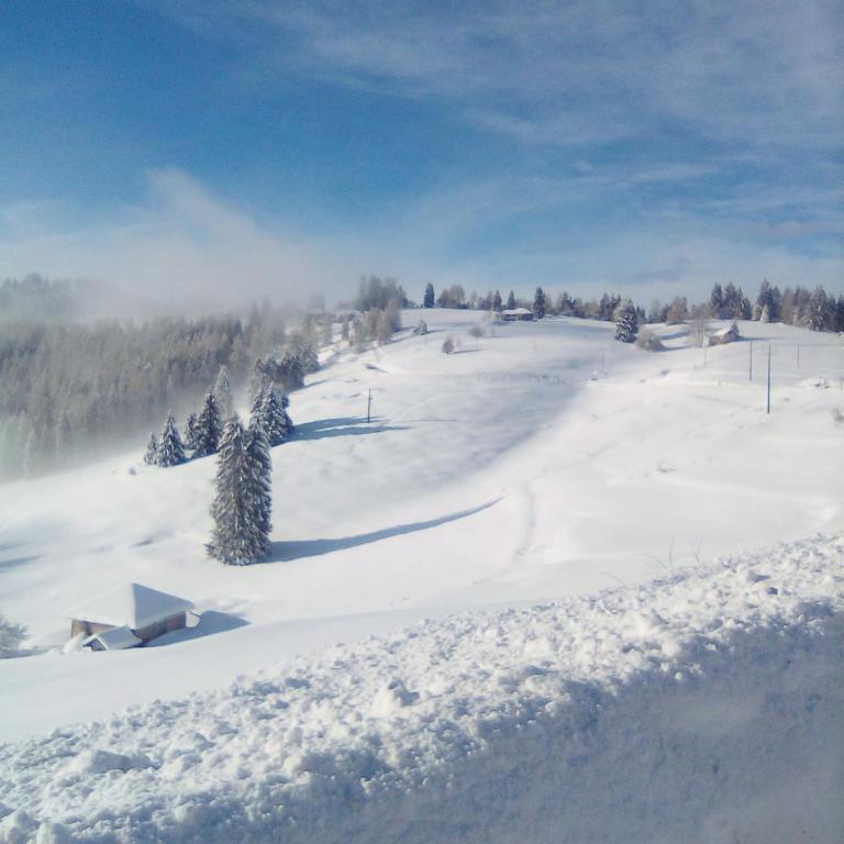 Chalet Maso Pino - Four-Bedroom Chalet - 43