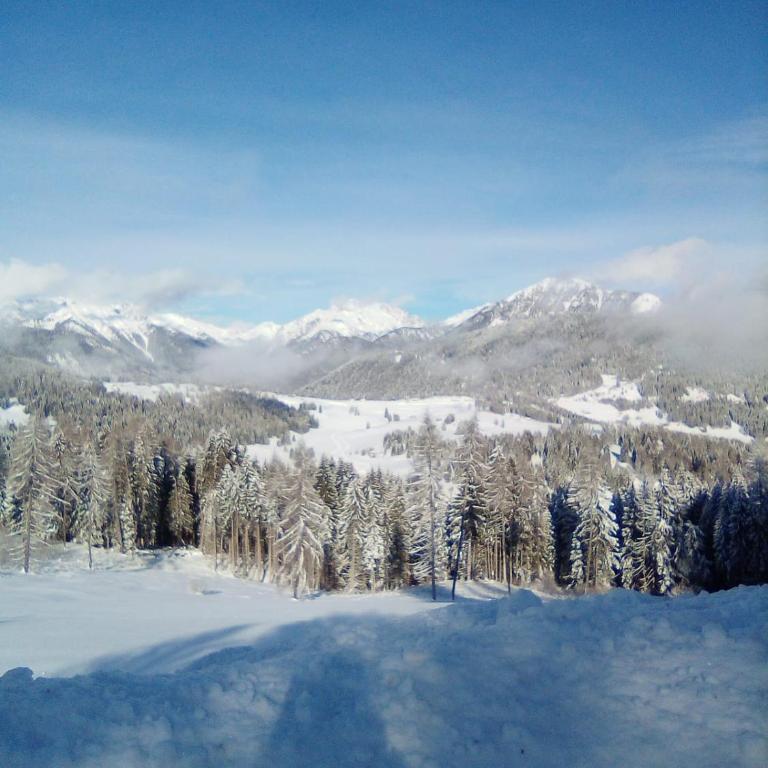 Chalet Maso Pino - Four-Bedroom Chalet - 45