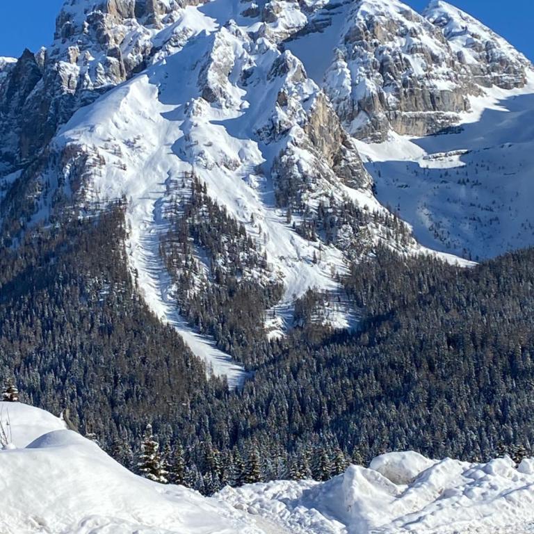 Baita Carlo Magno - Appartamento con Vista Montagna - 20