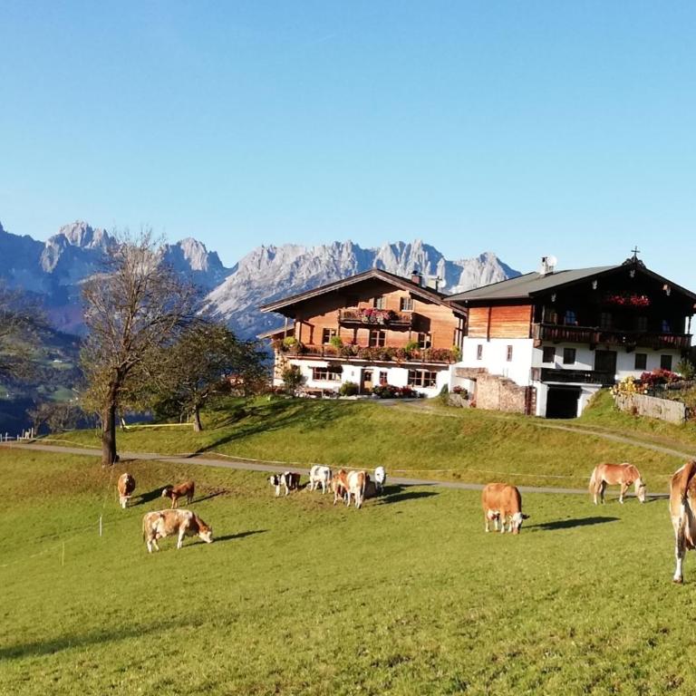Hahnenkammblick - Apartment mit 3 Schlafzimmern - 21
