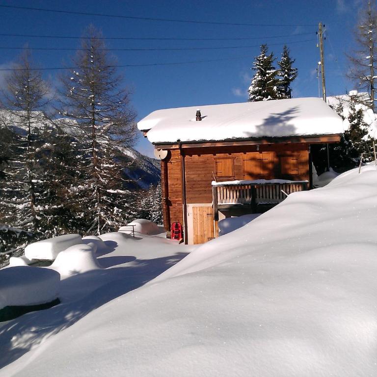 Chalet Edelweiss - Chalet - 1