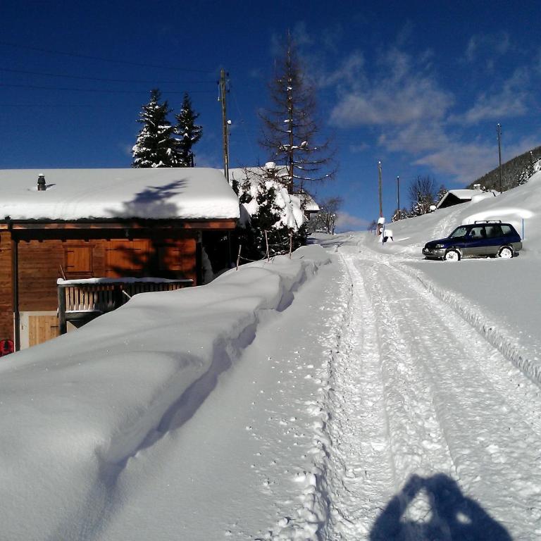 Chalet Edelweiss - Chalet - 2