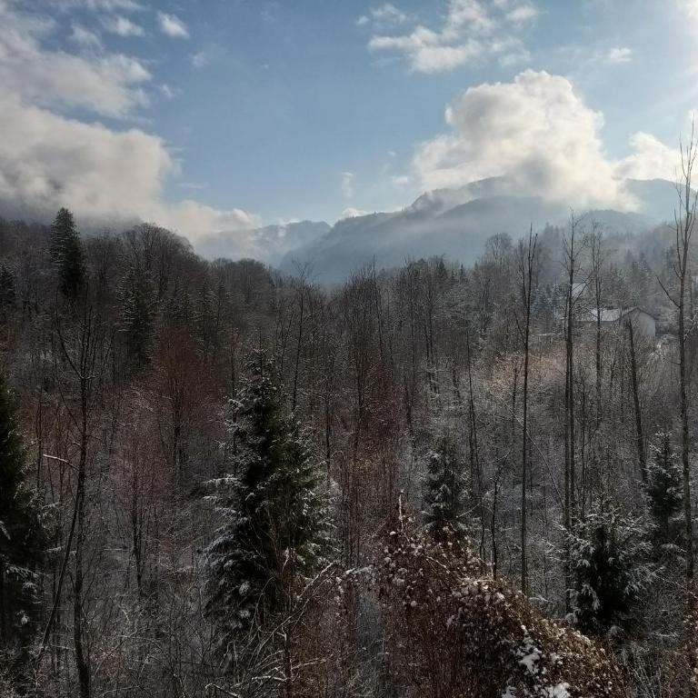 CHILL&SLEEP Bad Ischl - Apartment mit Blick auf die Berge - 30