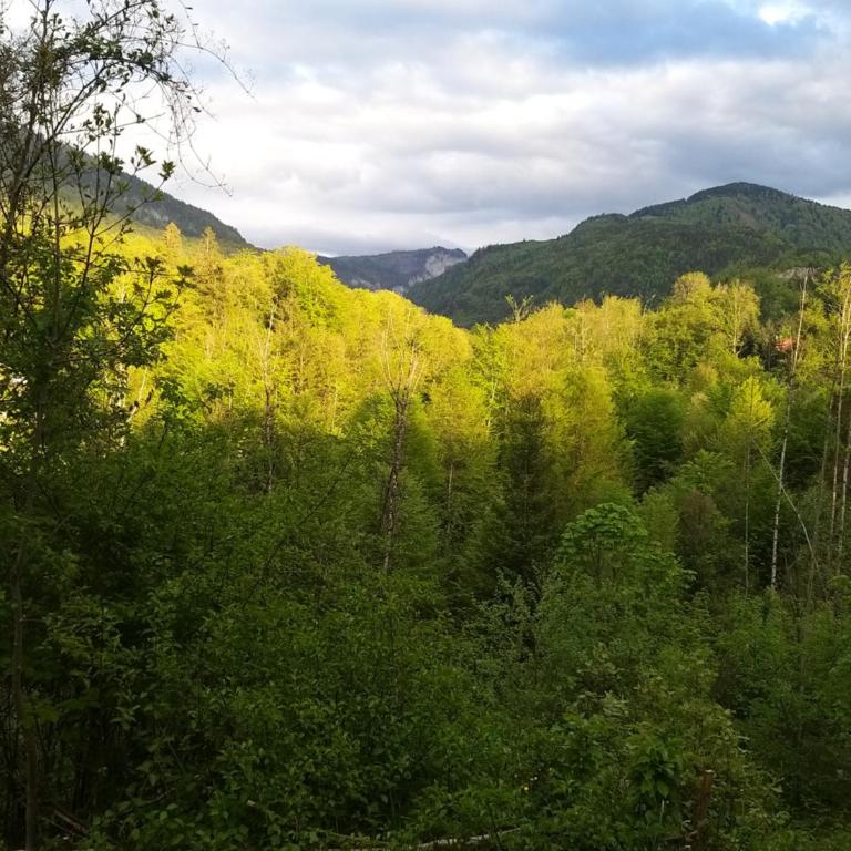 CHILL&SLEEP Bad Ischl - Apartment mit Blick auf die Berge - 19