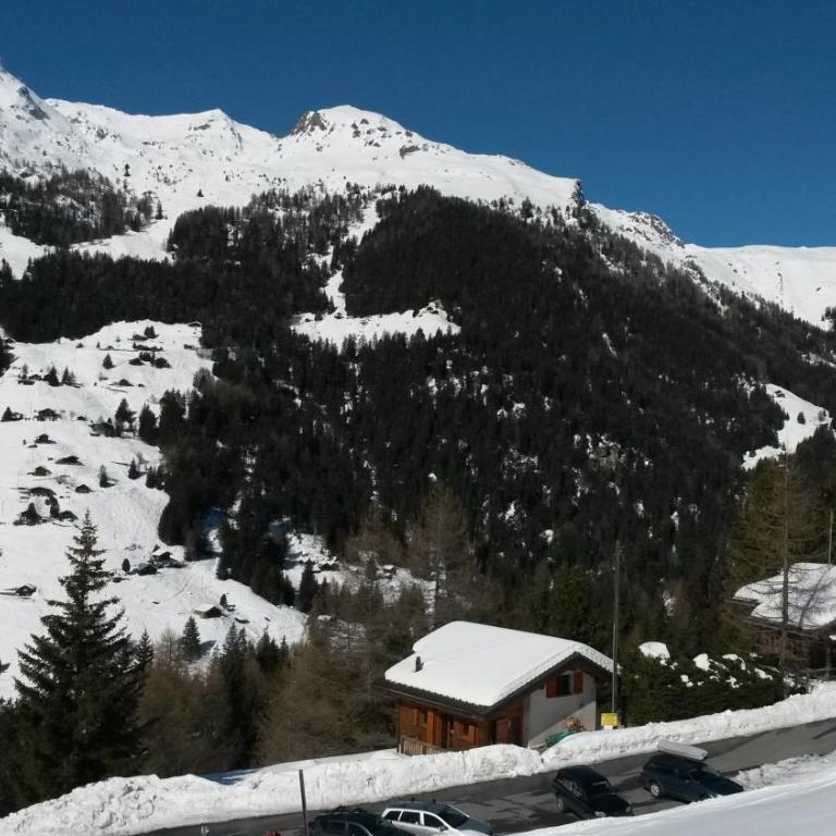Chalet Edelweiss - Chalet - 4