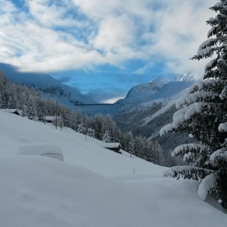 Chalet Edelweiss - Chalet - 3